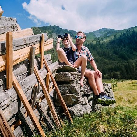 Chalet Freiblick Kleinhaid, Hollersbach Голлерсбах-ім-Пінцґау Екстер'єр фото