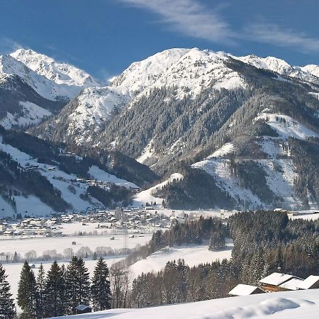 Chalet Freiblick Kleinhaid, Hollersbach Голлерсбах-ім-Пінцґау Екстер'єр фото