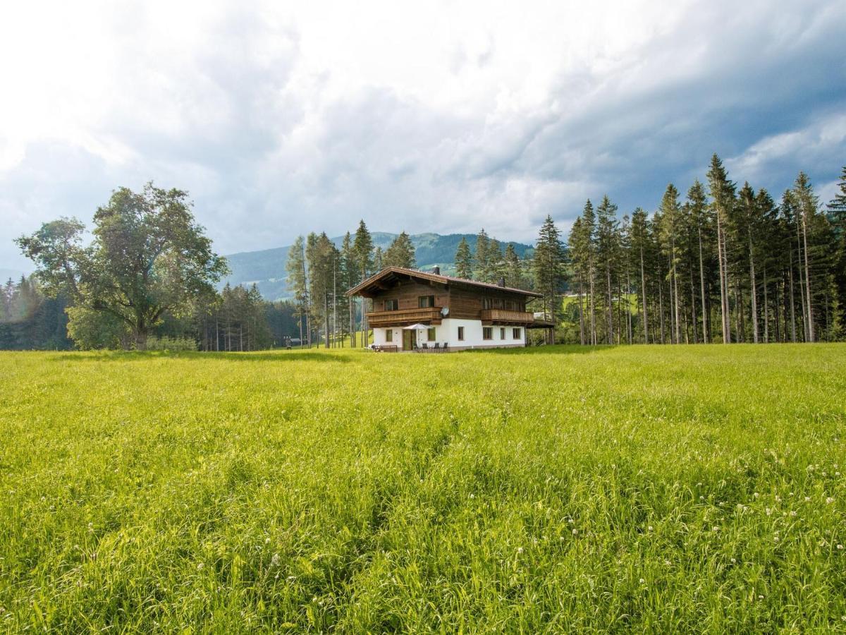 Chalet Freiblick Kleinhaid, Hollersbach Голлерсбах-ім-Пінцґау Екстер'єр фото
