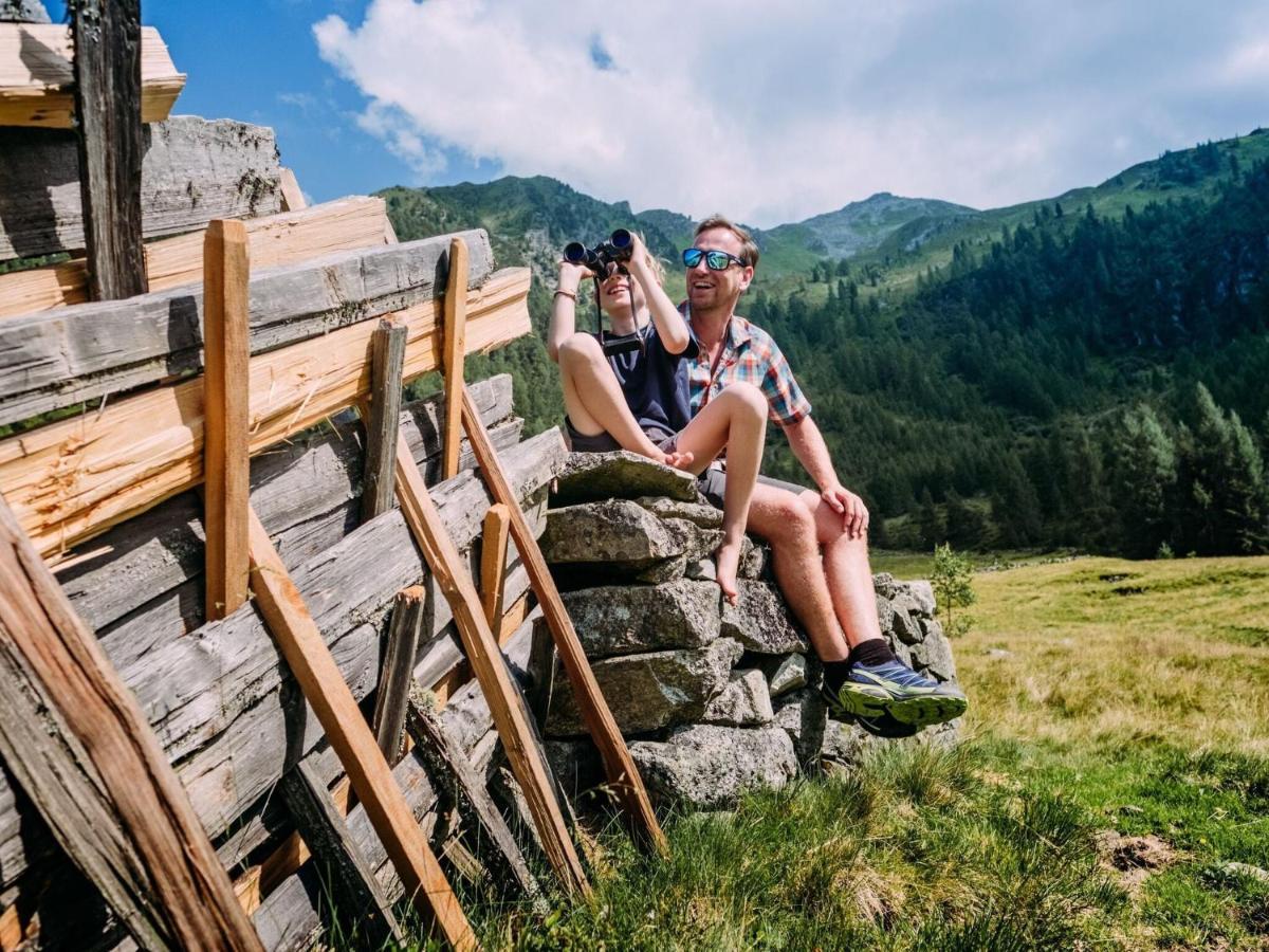 Chalet Freiblick Kleinhaid, Hollersbach Голлерсбах-ім-Пінцґау Екстер'єр фото
