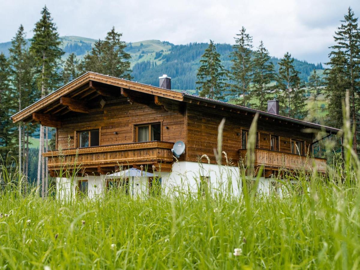 Chalet Freiblick Kleinhaid, Hollersbach Голлерсбах-ім-Пінцґау Екстер'єр фото