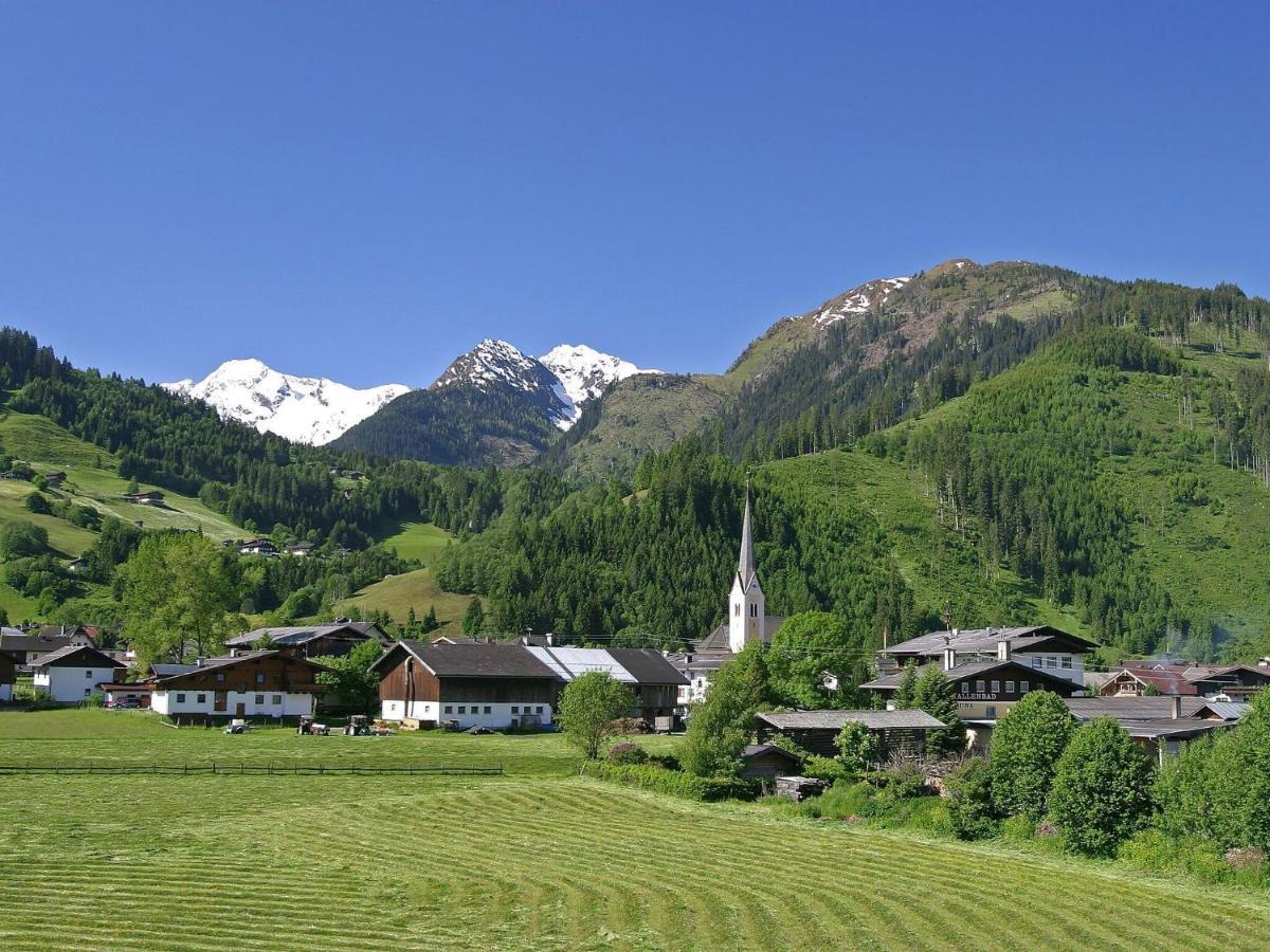 Chalet Freiblick Kleinhaid, Hollersbach Голлерсбах-ім-Пінцґау Екстер'єр фото