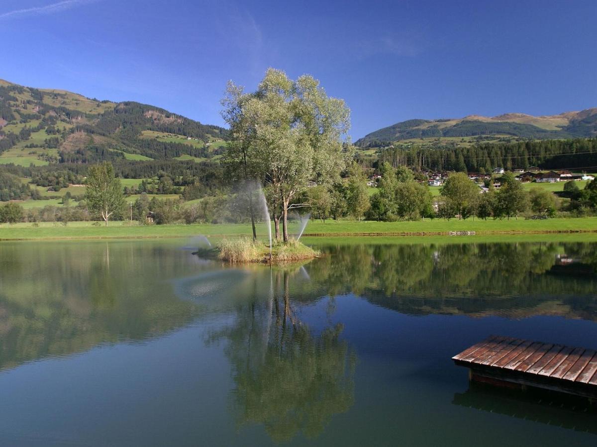 Chalet Freiblick Kleinhaid, Hollersbach Голлерсбах-ім-Пінцґау Екстер'єр фото