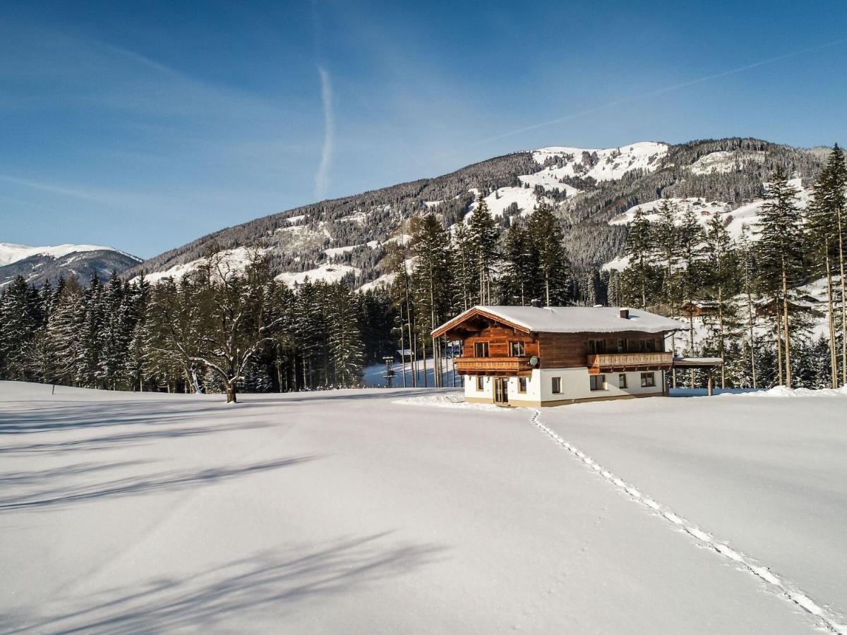 Chalet Freiblick Kleinhaid, Hollersbach Голлерсбах-ім-Пінцґау Екстер'єр фото