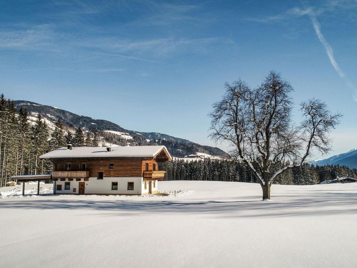 Chalet Freiblick Kleinhaid, Hollersbach Голлерсбах-ім-Пінцґау Екстер'єр фото