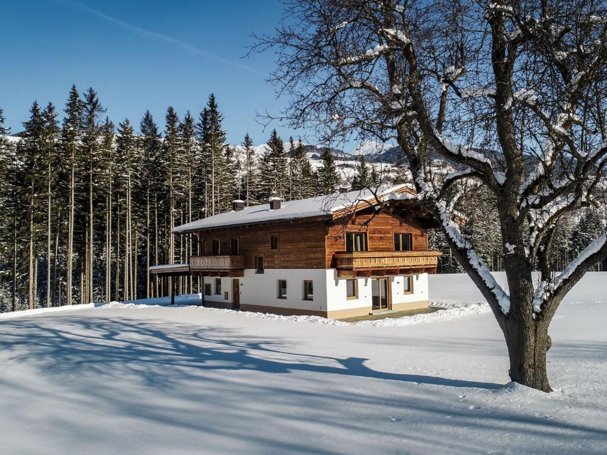 Chalet Freiblick Kleinhaid, Hollersbach Голлерсбах-ім-Пінцґау Екстер'єр фото